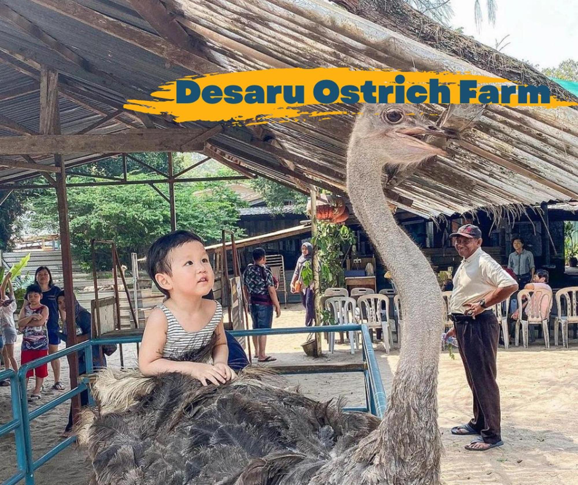 Desaru Johor By Glex Villa Eksteriør bilde